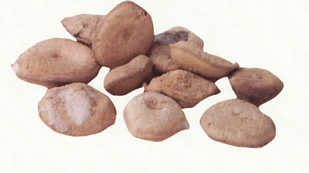 馬錢(qián)子浴