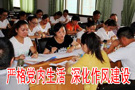 嚴格黨內生活 深化作風建設