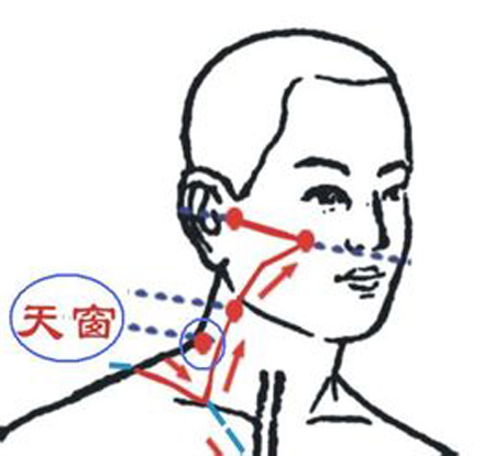 天窗穴→治耳鳴、耳聾