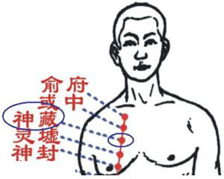 神藏穴→治咳嗽、胸痛