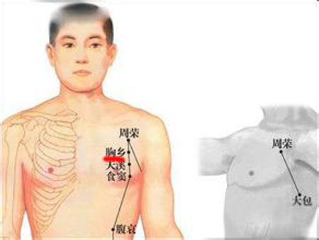 胸鄉(xiāng)穴→治咳嗽、哮喘