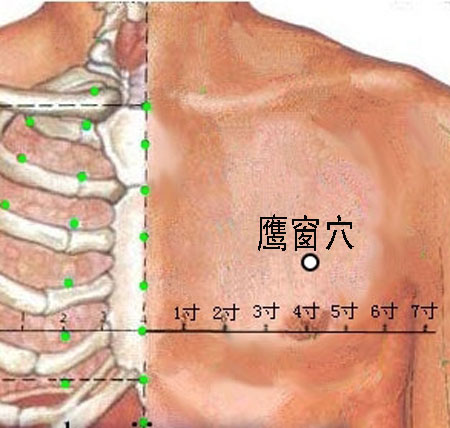 鷹窗穴→治咳嗽、氣喘
