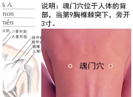 魂門穴→治胸脅痛、嘔吐