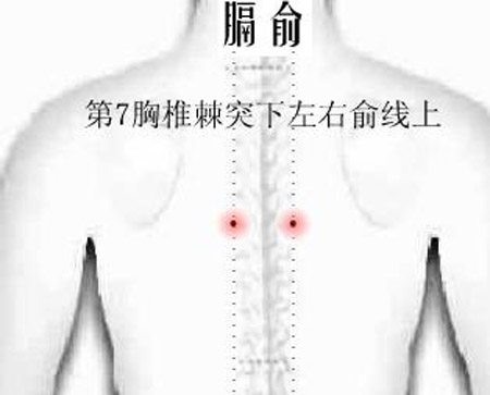 膈俞穴→治嘔吐、呃逆