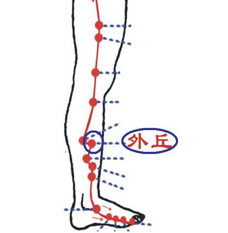外丘穴→治頸項強(qiáng)痛