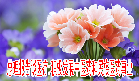 總理報告談醫(yī)療:積極發(fā)展中醫(yī)藥和民族醫(yī)藥事業(yè)
