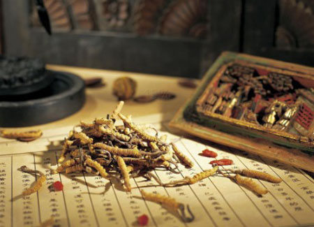 京冀共建中醫(yī)藥流動培訓(xùn)學(xué)院