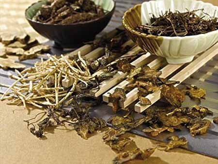 中醫(yī)藥走向世界：如何再快一些？