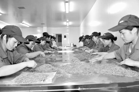 中藥走出國(guó)門知識(shí)產(chǎn)權(quán)先行