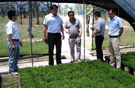 汪訓(xùn)衛(wèi)率隊外出開展中藥材產(chǎn)業(yè)招商