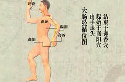 刮痧刮大腸經(jīng)，可以清理腸道、排出宿便