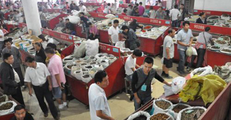 亳州現(xiàn)代中藥產業(yè)打造“雙千億”提升首位度