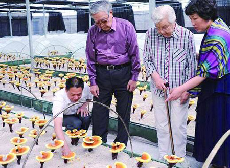 開啟“十三五”，中醫(yī)藥抗癌迎利好