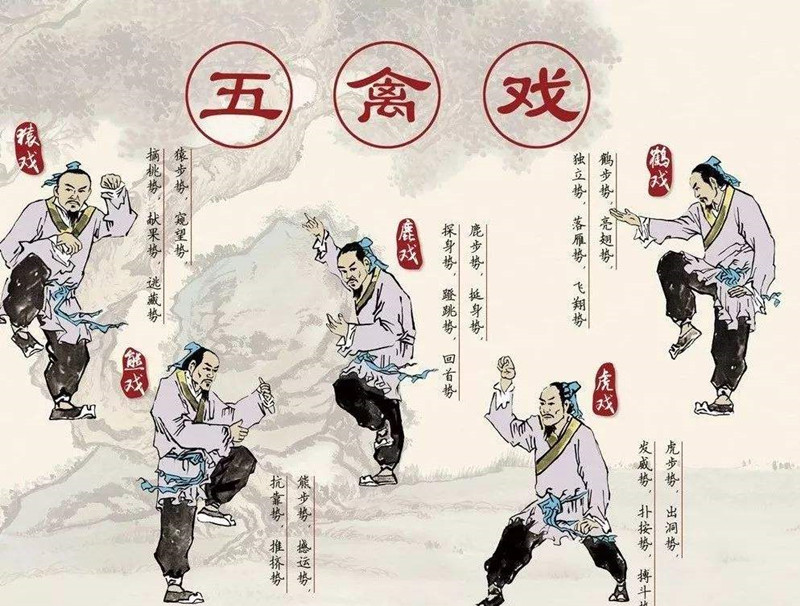 華佗，外科鼻祖，發(fā)明麻沸散、五禽戲
