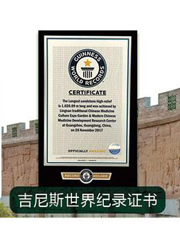 熱烈慶祝中醫(yī)藥歷史文化浮雕景觀長廊獲吉尼斯世界紀(jì)錄證書！