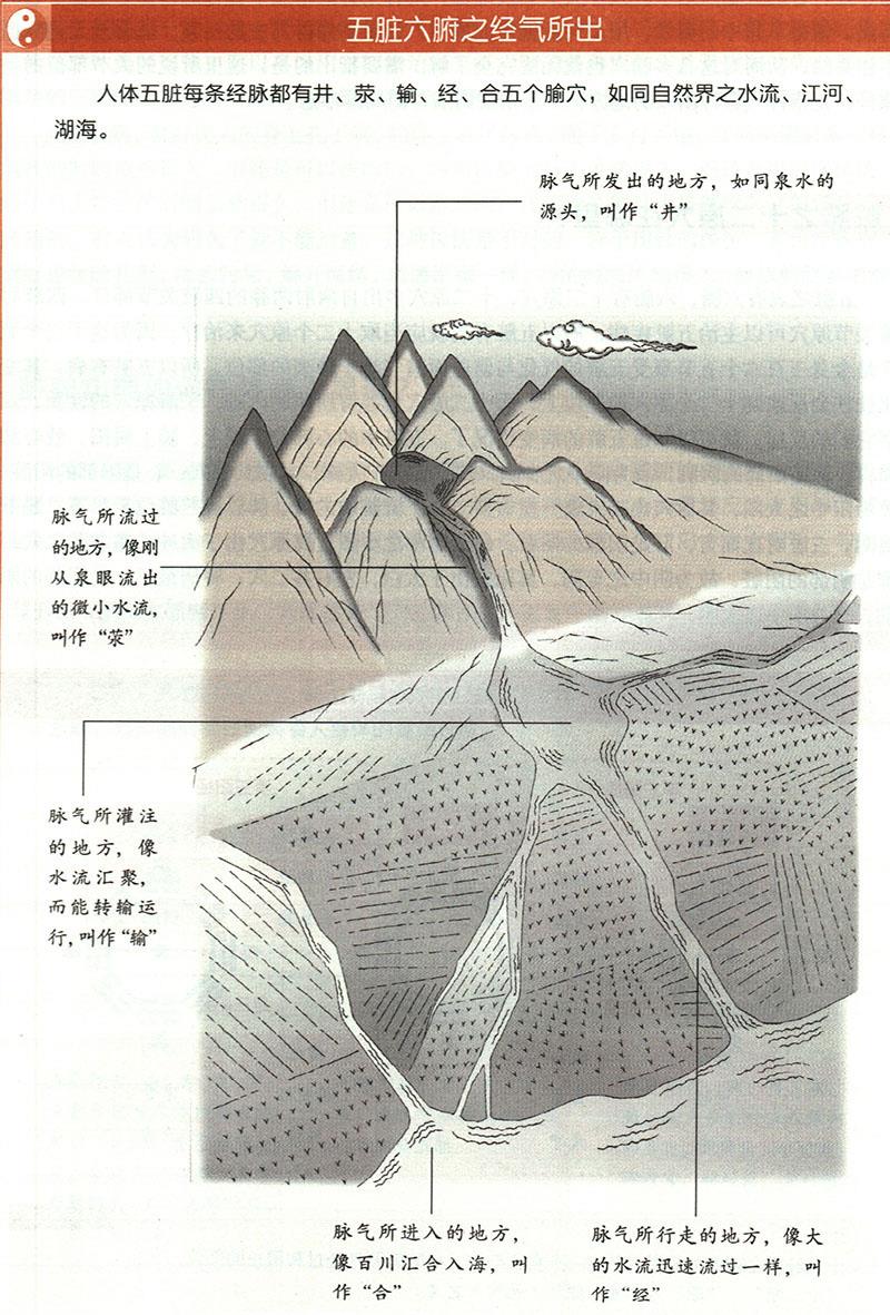 臟腑之經氣所出分別在哪里？