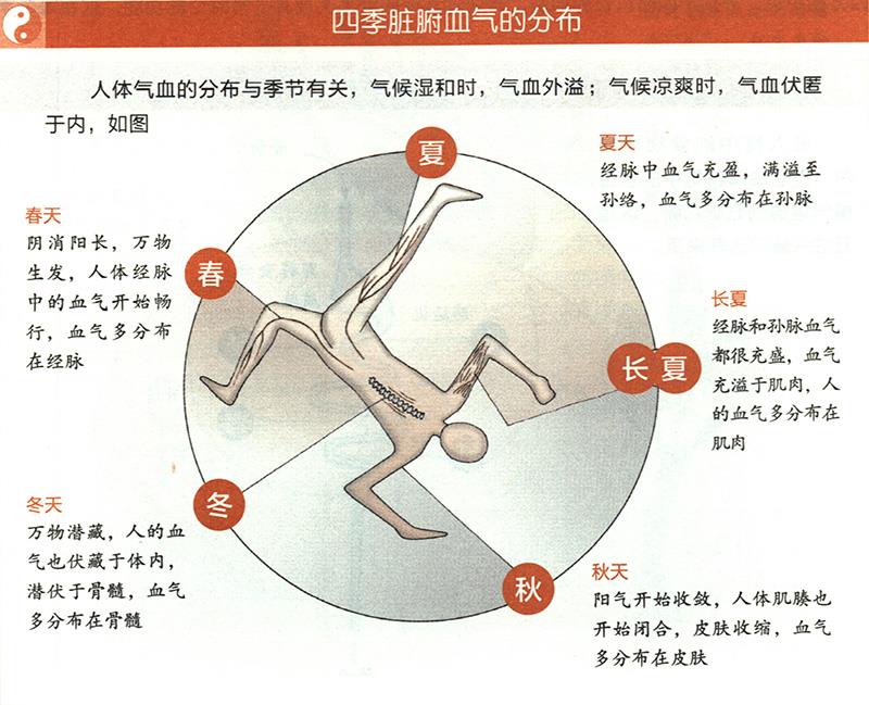 四季臟腑血氣是怎樣分布的？