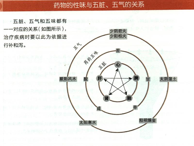 藥物的性味與五臟、五氣有什么關(guān)系？