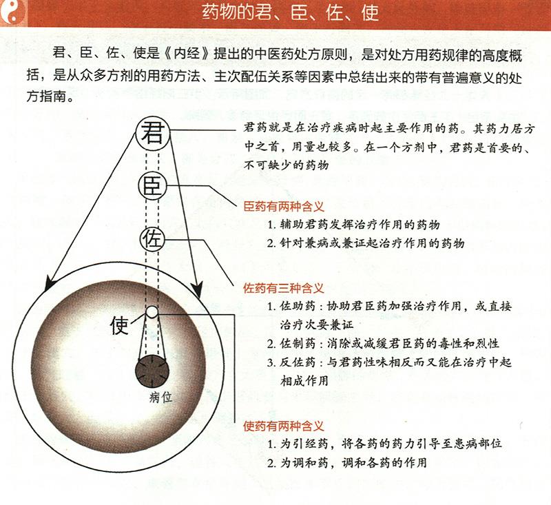 什么是藥物的君臣佐使？