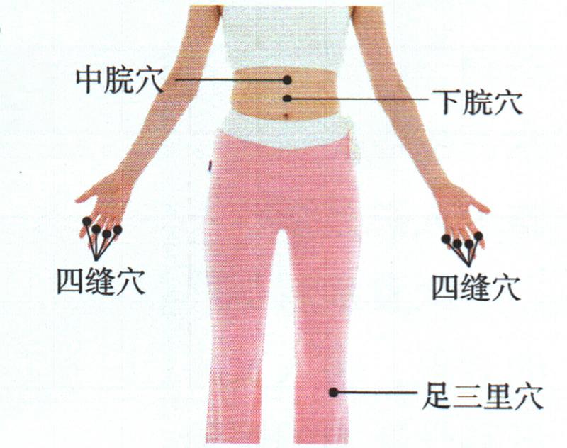 按摩足三里穴、四縫穴、中脘穴，促進(jìn)吸收增點肉