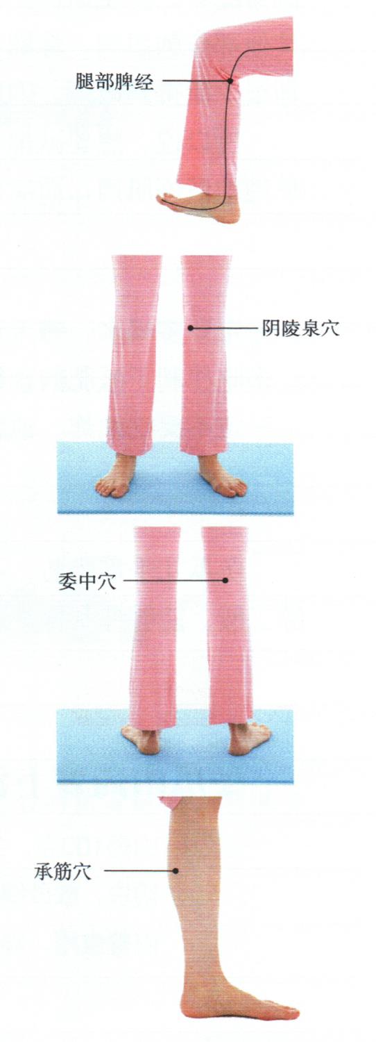 按摩腿部穴位，祛濕瘦腿