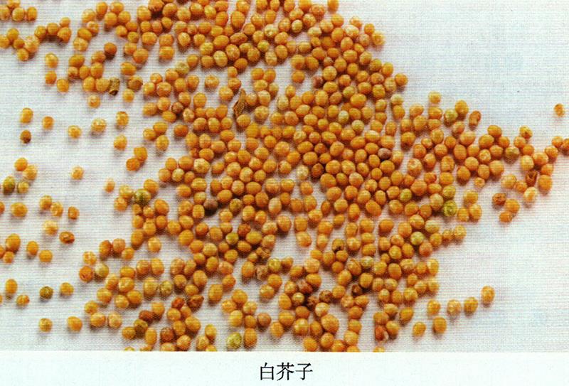 治毒蛇咬傷、癖癥、蕁麻疹方