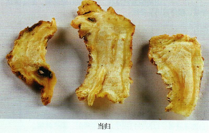 治跌打紅腫、炎腫方
